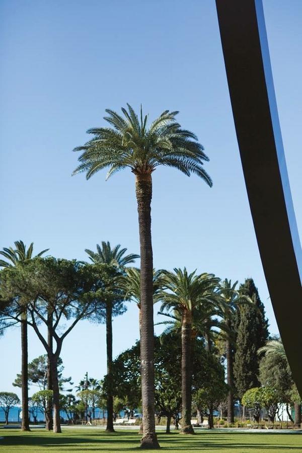 Le Prefecture - Luxueux F3 En Duplex, Ascenseur, Coeur Vieux-Nice Διαμέρισμα Εξωτερικό φωτογραφία