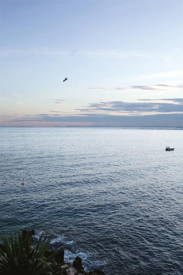 Le Prefecture - Luxueux F3 En Duplex, Ascenseur, Coeur Vieux-Nice Διαμέρισμα Εξωτερικό φωτογραφία